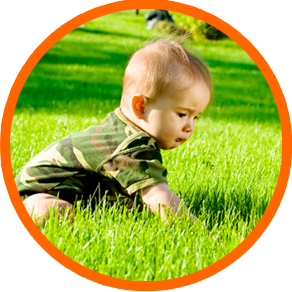 Lawn Care