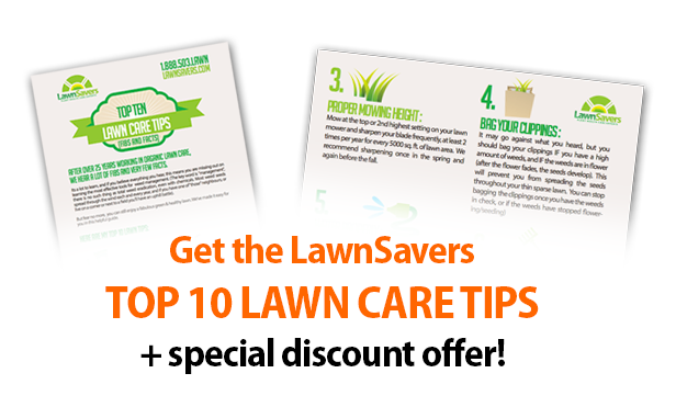 Get the LawnSavers TOP 10 LAWN CARE TIPS + special discount offer!